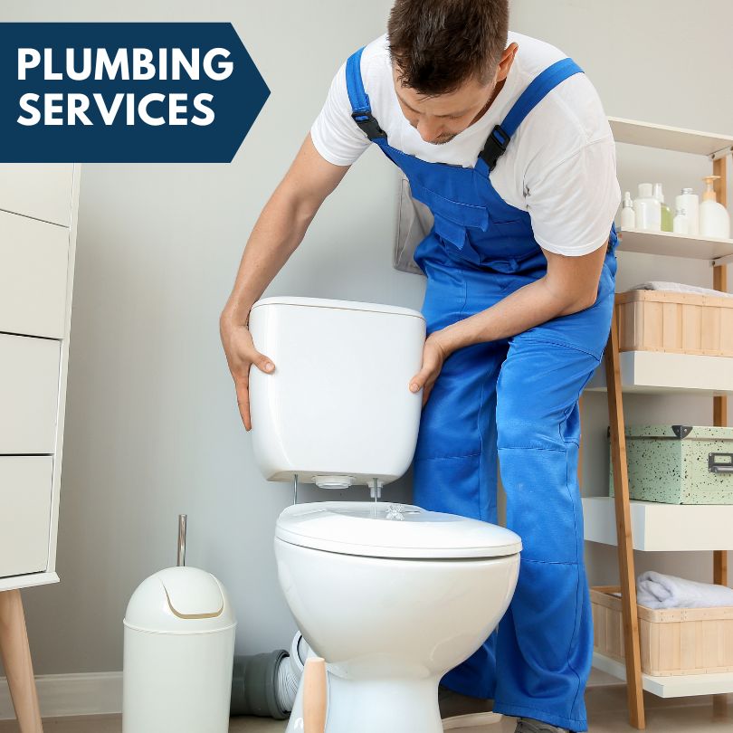 Plumbing Company in Tovey, IL